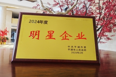 新春新景新氣象 | 景興紙業(yè)在平湖三干大會(huì)上喜摘榮譽(yù)！